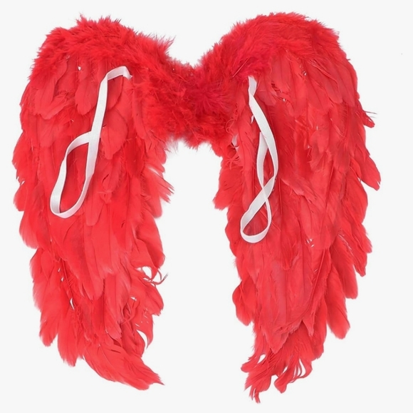 Red wings - Picture 1 of 2